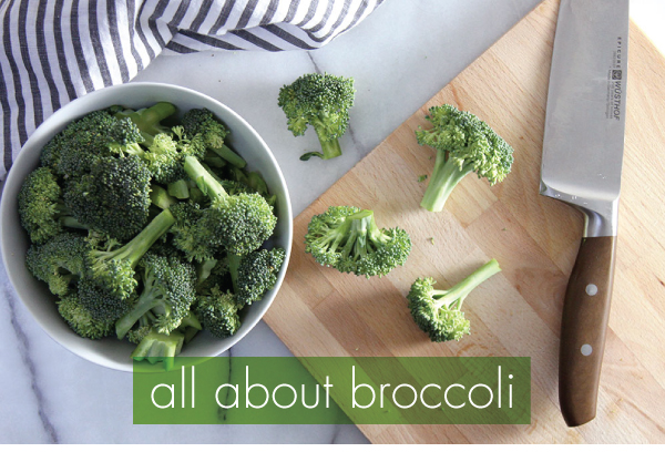 All About Broccoli