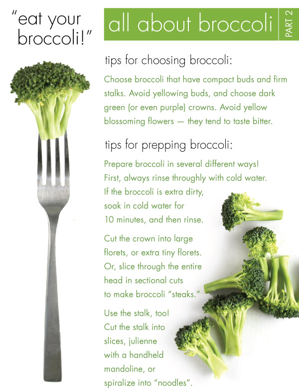 All About Broccoli: Part 2