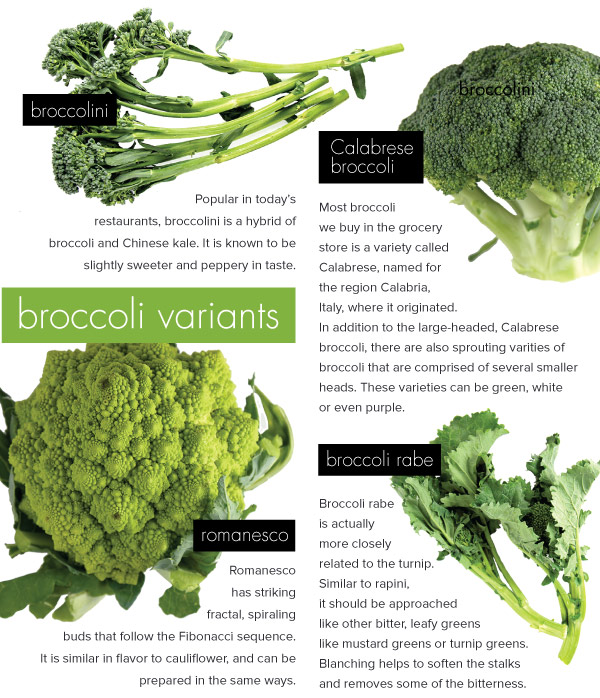 Broccoli Variants