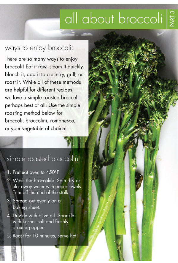 All About Broccoli: Part 3