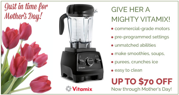 Vitamix Sale