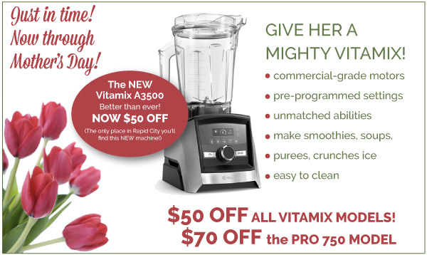 Vitamix Sale