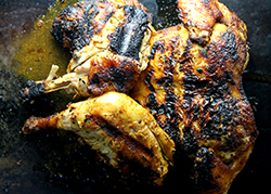 Grilled Bird