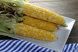 Grilled Corn