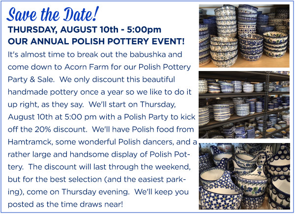 Polish Pottery Party