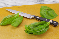 Basil Leaves