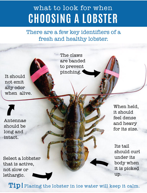 Choosing a Lobster