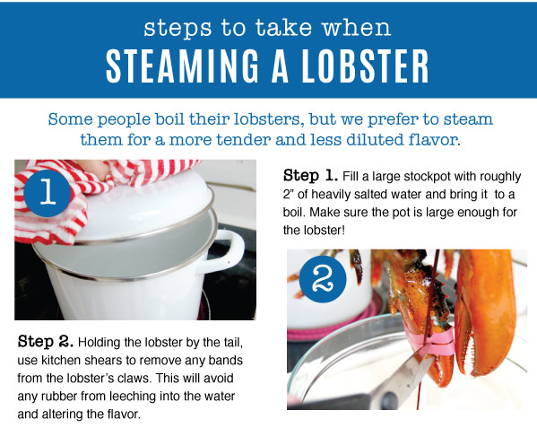 Steaming a Lobster