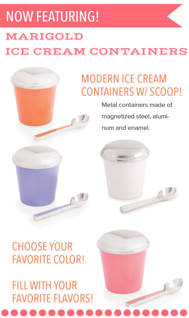 Ice Cream Containers
