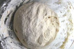 Dough, ready to rise