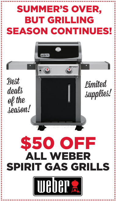 Weber Special