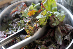 Add leaves