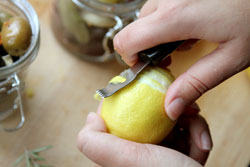 Zesting lemons