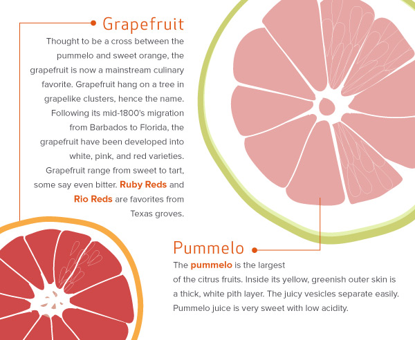 Grapefruit and Pummelo