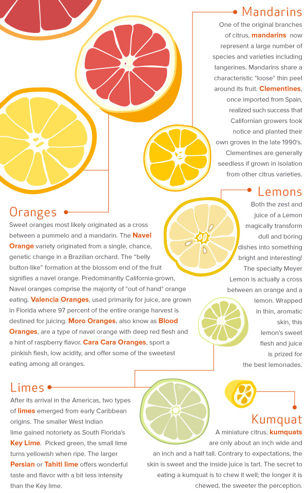 Mandarins, Oranges, aLemons and Limes
