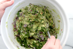 Mixed Guacamole