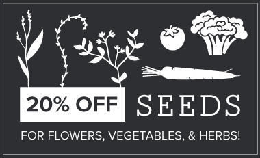 Seeds Sale