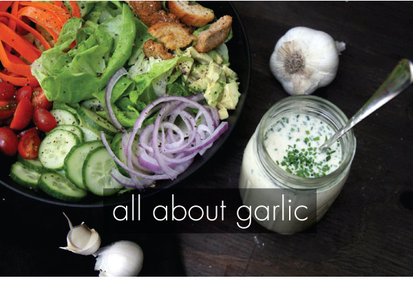 All About Garlic