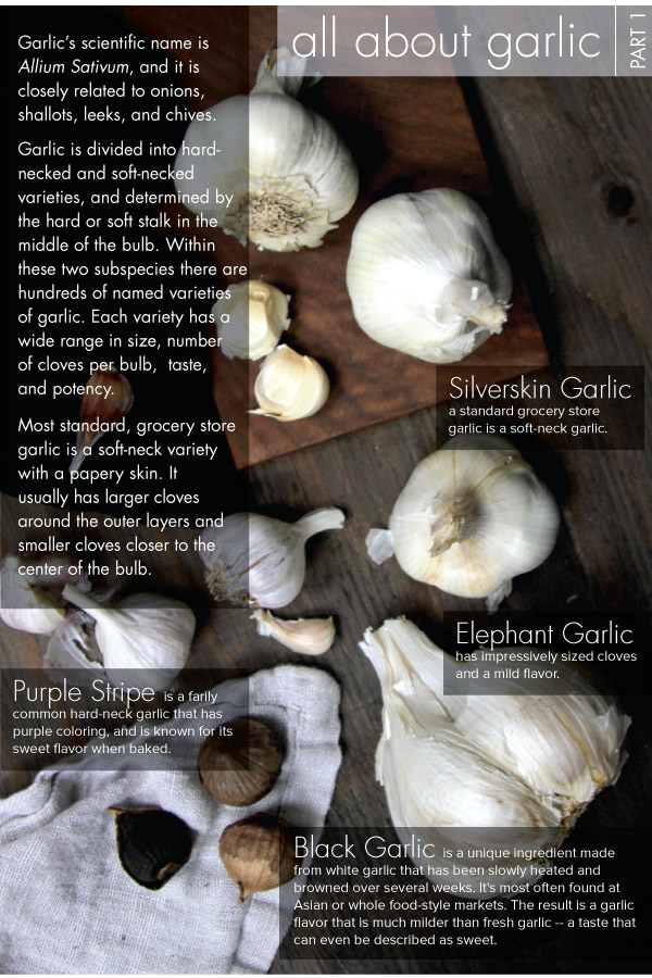 All About Garlic - Part 1