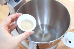 Add yeast to warm water