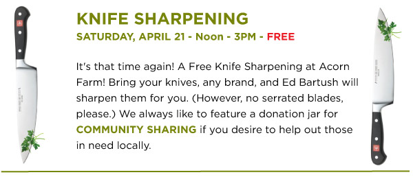 Knife Sharpening