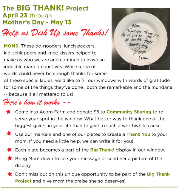 The BIg Thank Project