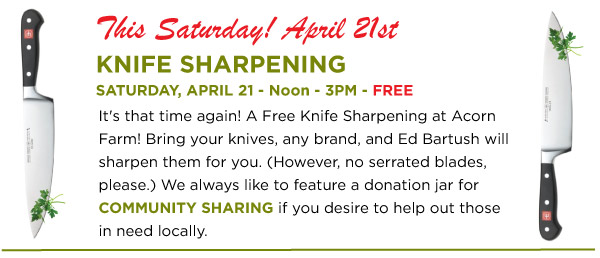 Knife Sharpening