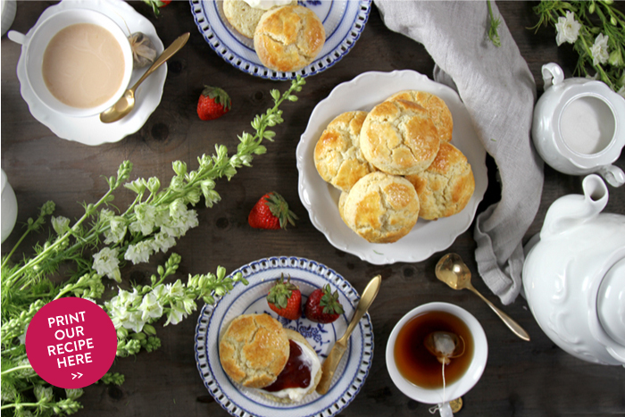 English Scones with Cottled Cream