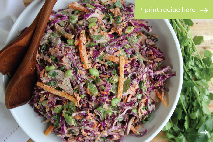 Red Cabbage Tangy Slaw