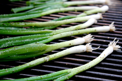 Grill Green Onions