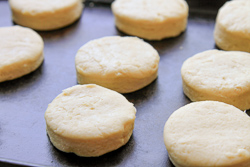 Rising Biscuits