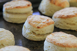 Baked Biscuits