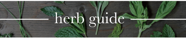 Herb Guide