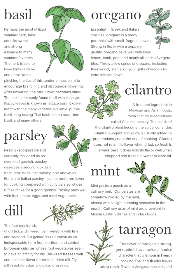 Herb Guide