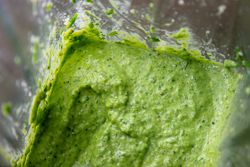 Blended Pesto