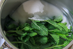 Mint Simple Syrup