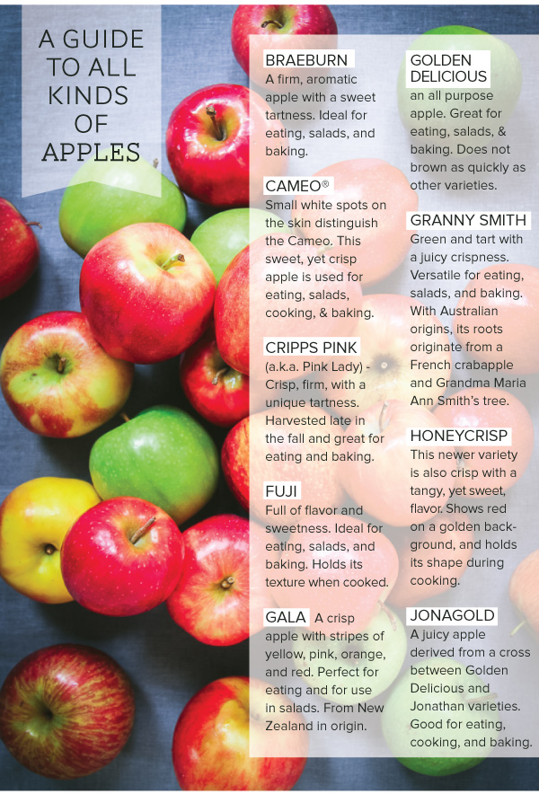 All Kinds of Apples