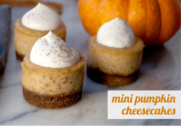 Mini Pumpkin Cheesecakes