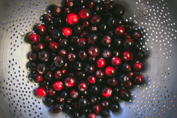 Sort the Cranberries