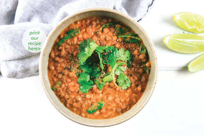 Curried Lentil Soup