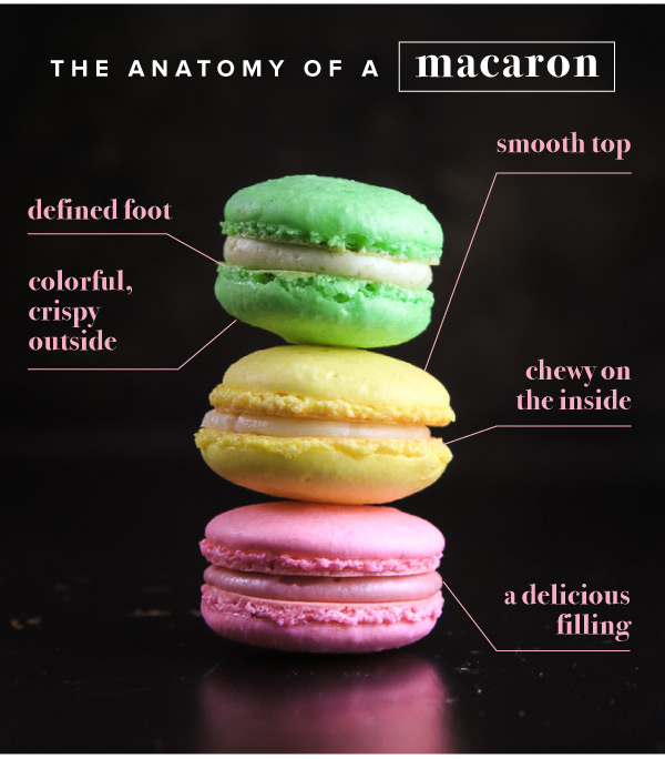 Anatomy of a Macaron