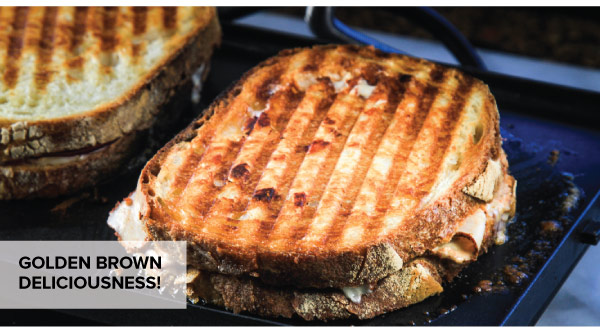 Grilled Panini