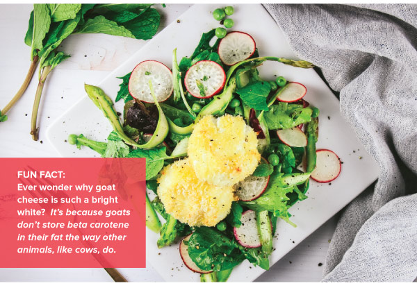 Spring Salad with Baked Goat Cheese Medallions