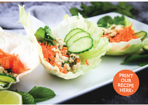 Thai Chicken Lettuce Cups - Larb Gai