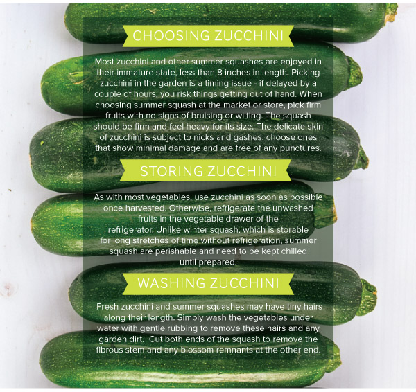 Zucchini Tips