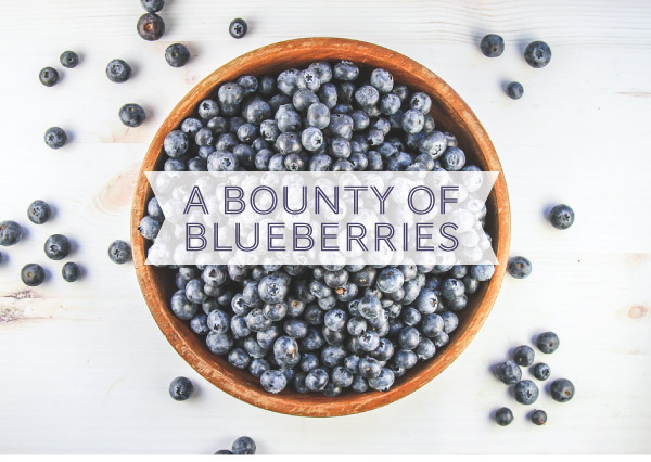A Bounty of Blueberries