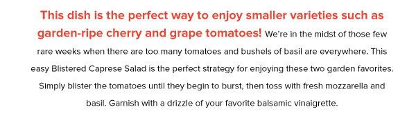 Blistered Cherry Tomato Caprese Salad