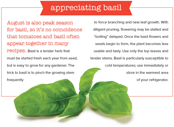 Appreciating Basil