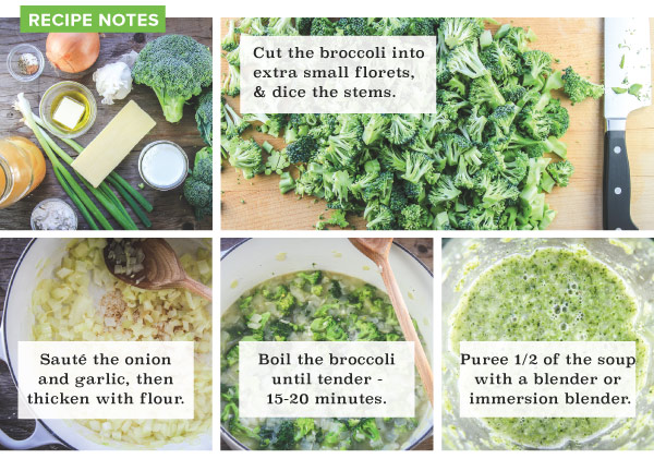 Easy Cheesy Broccoli Soup