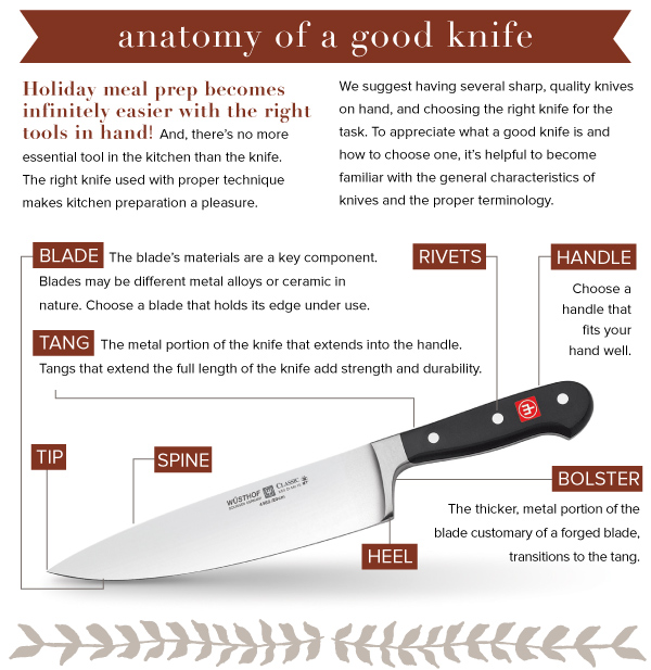Anatomy of a Knife